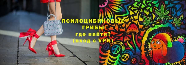 метадон Галич