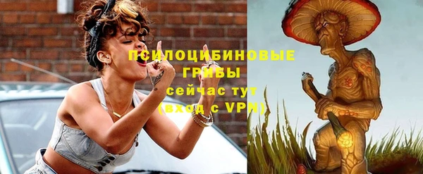 PSILOCYBIN Губаха