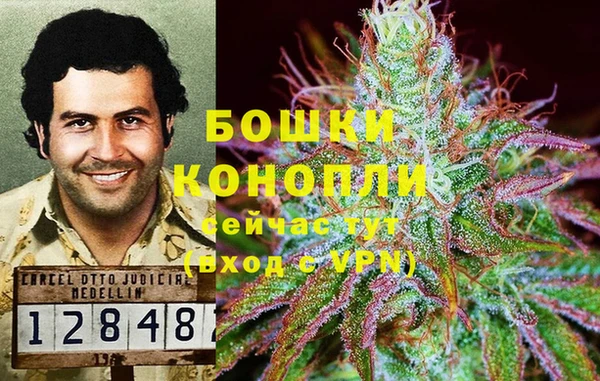 метадон Галич