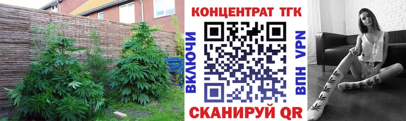 ТГК Wax Инсар