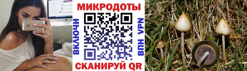 Галлюциногенные грибы Cubensis  закладки  Инсар 